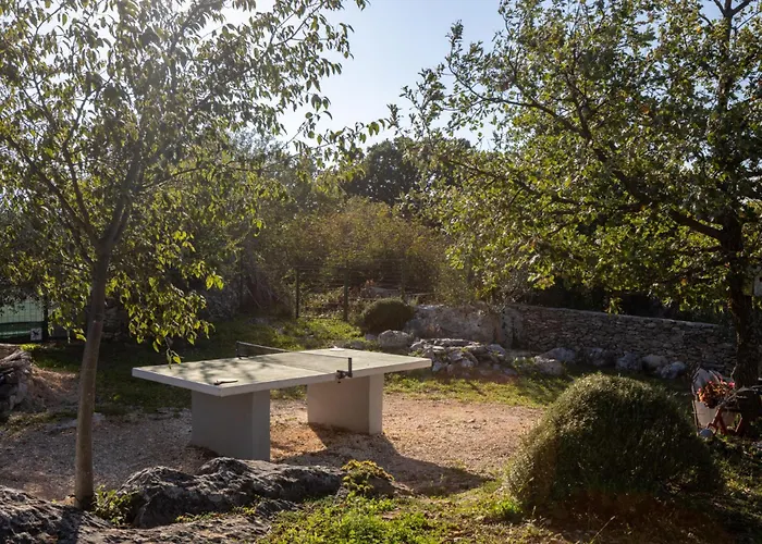 Mirkov San וילה *